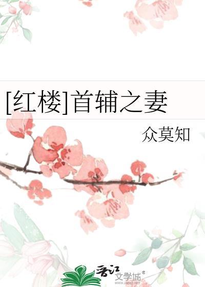 [红楼]首辅之妻